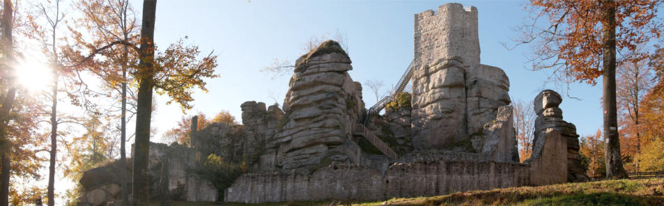 Burg Weissenstein Steinwaldia E.V