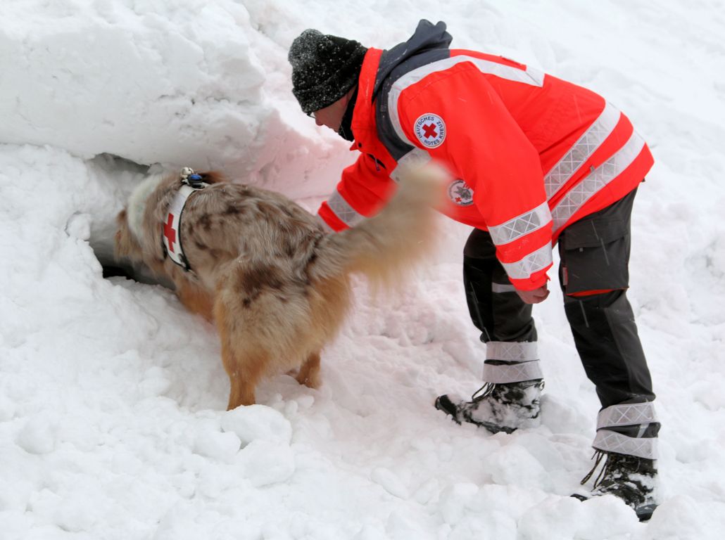 BRK Rettungshundestaffel Symbol Symbolbild Rettungshund Sanitäter Lawine Schnee Schneemassen verschüttet