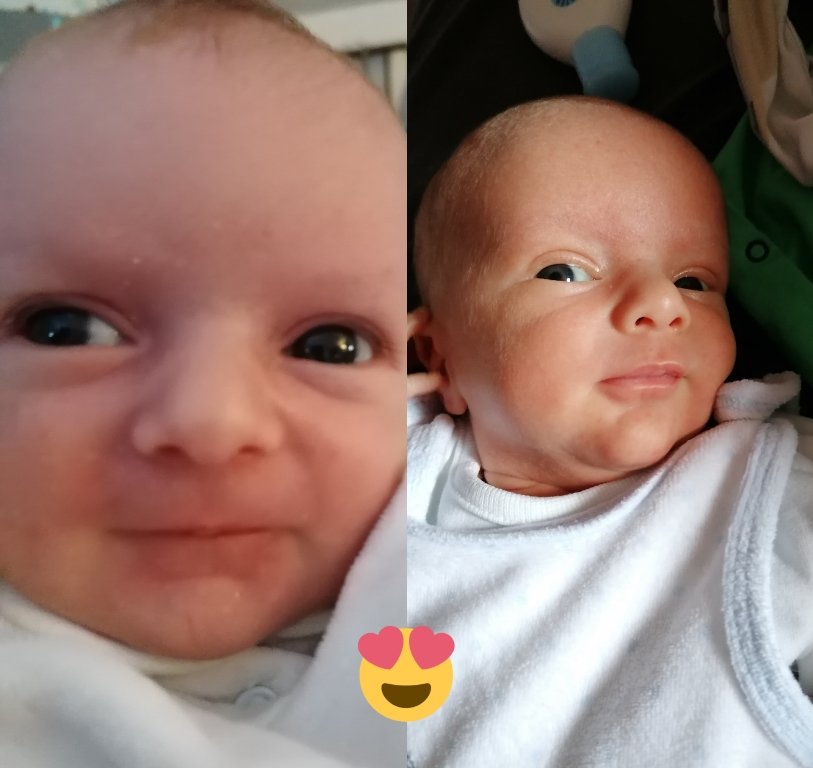 Babys Baby Zwillinge Alexandra Kilian Dippel Erbendorf