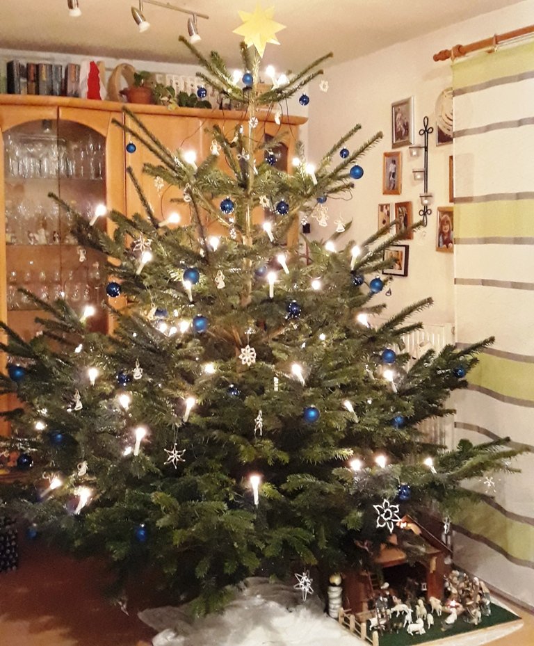 Baum 1 Christbaum Loben 2017 Weihnachtsbaum Familie Forster aus Pirk per Mail