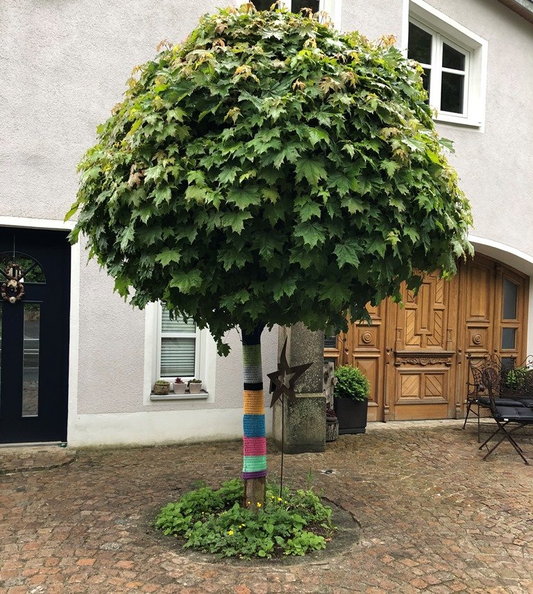 Baum vor Haus von Sabine Kirsch
