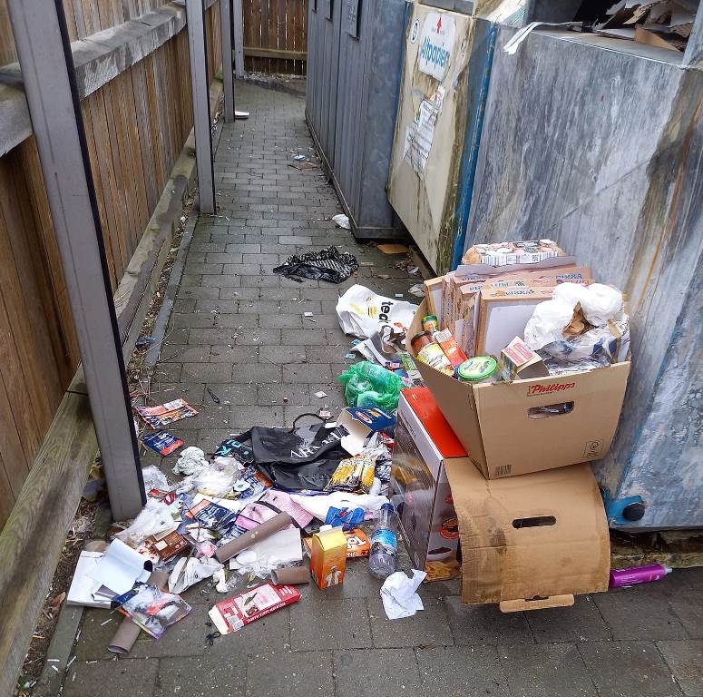 Die Mülltonnen sind voll - was nicht reinpasst haben Entsorger einfach vor und neben die Tonnen verteilt. Bild: Rainer Konz. 