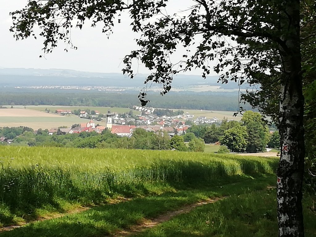 Blick-auf-Kohlberg-Wanderweg-Luhe-Wildenau