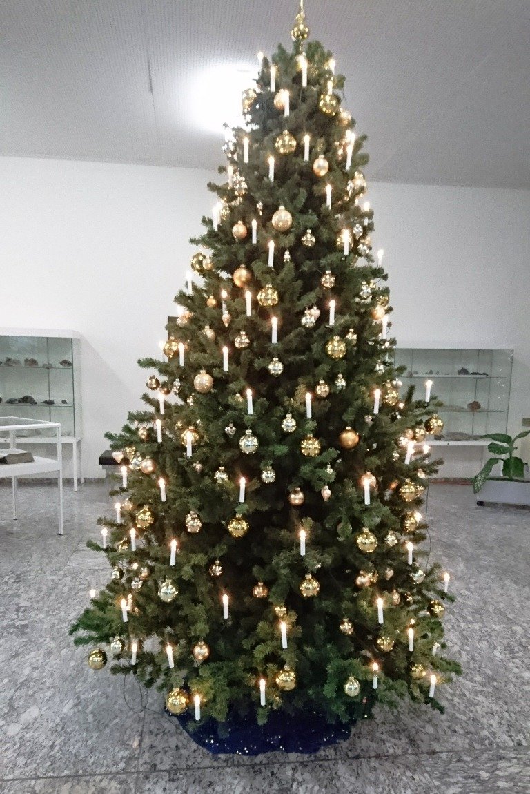 Christbaum, Weihnachtsbaum, Christbaum-Loben, Landgericht Weiden