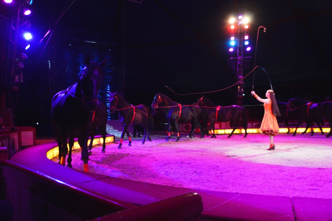 Circus Krone Weiden 2017 (9)