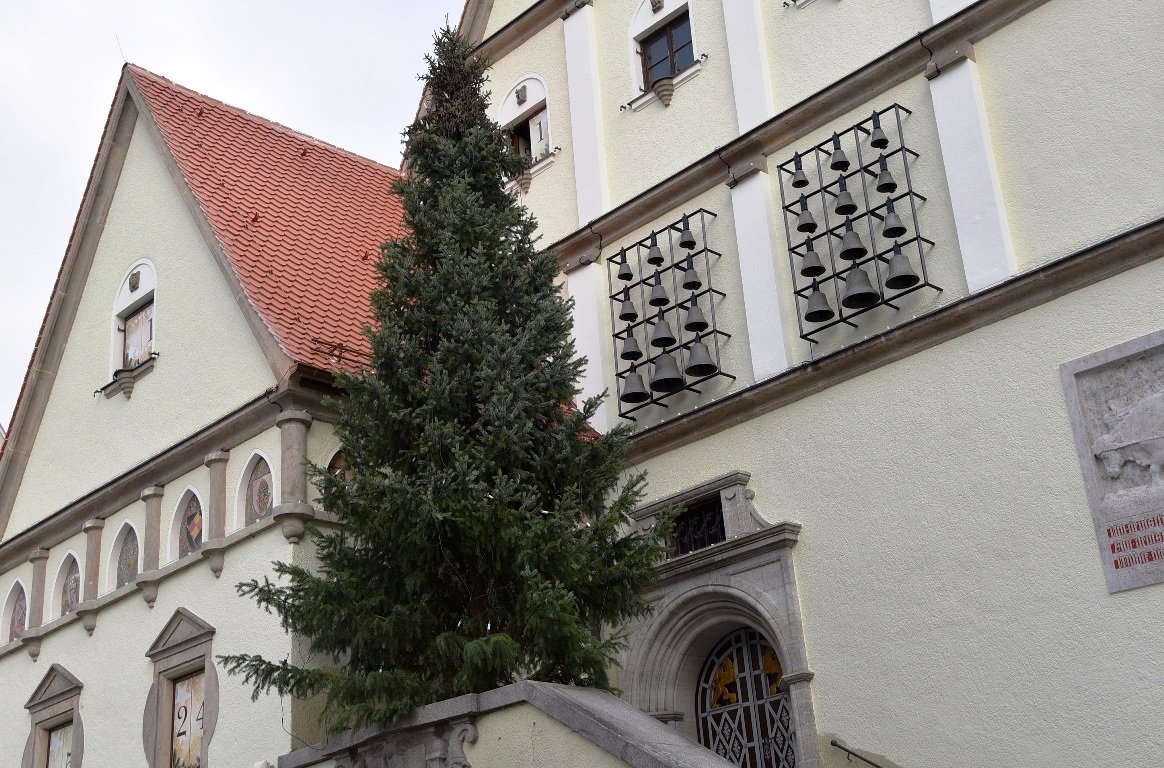 Weihnachtsbaum Fichte Altes Rathaus Weiden