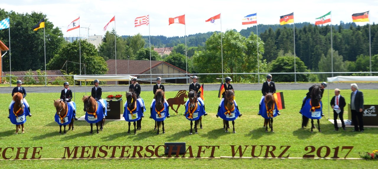 Lipperthof Pferd  Deutsche Islandpferde Meisterschaft Wurz 2017 (10)