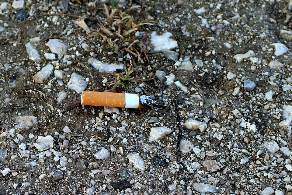 Feuer Kippe Zigarette Waldrand Wegrand Steine rauchen Raucher Symbol Symbolbild