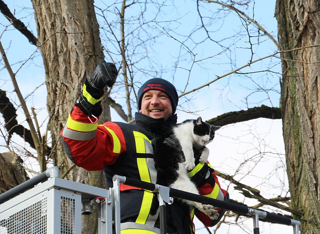 Feuerwehr Eschenbach Katze gerettet (1)