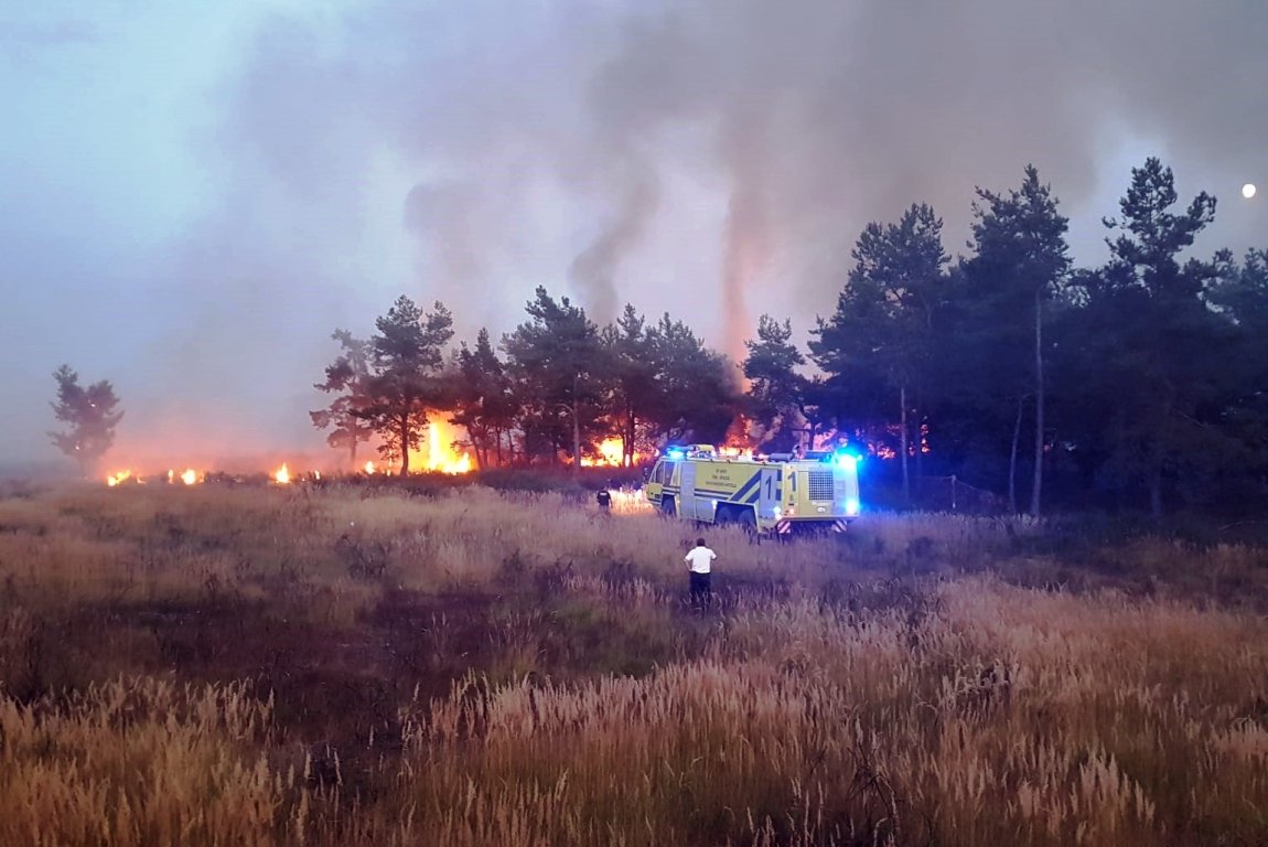 Feuer Truppenübungsplatz Grafenwöhr Flammen Brand