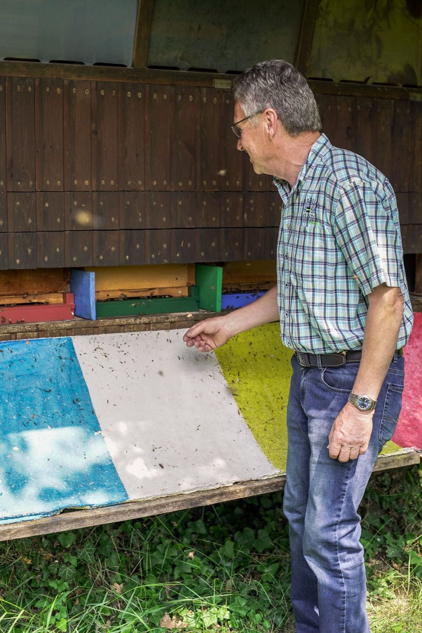 Auch Gäste müssen bei einem Besuch keine Angst vor einem Bienenstich haben. Bild: Landkreis Neustadt/WN