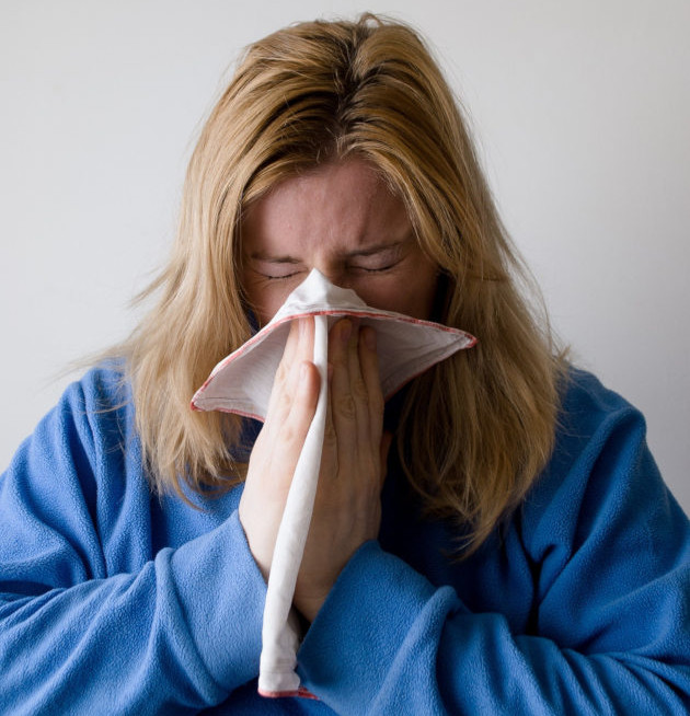 Heuschnupfen Schnupfen Allergie Krank Krankheit Frau Nase Bild Symbolbild Pixabay