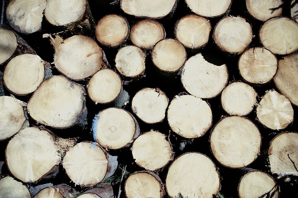 Holz, Rundholz, Symbol