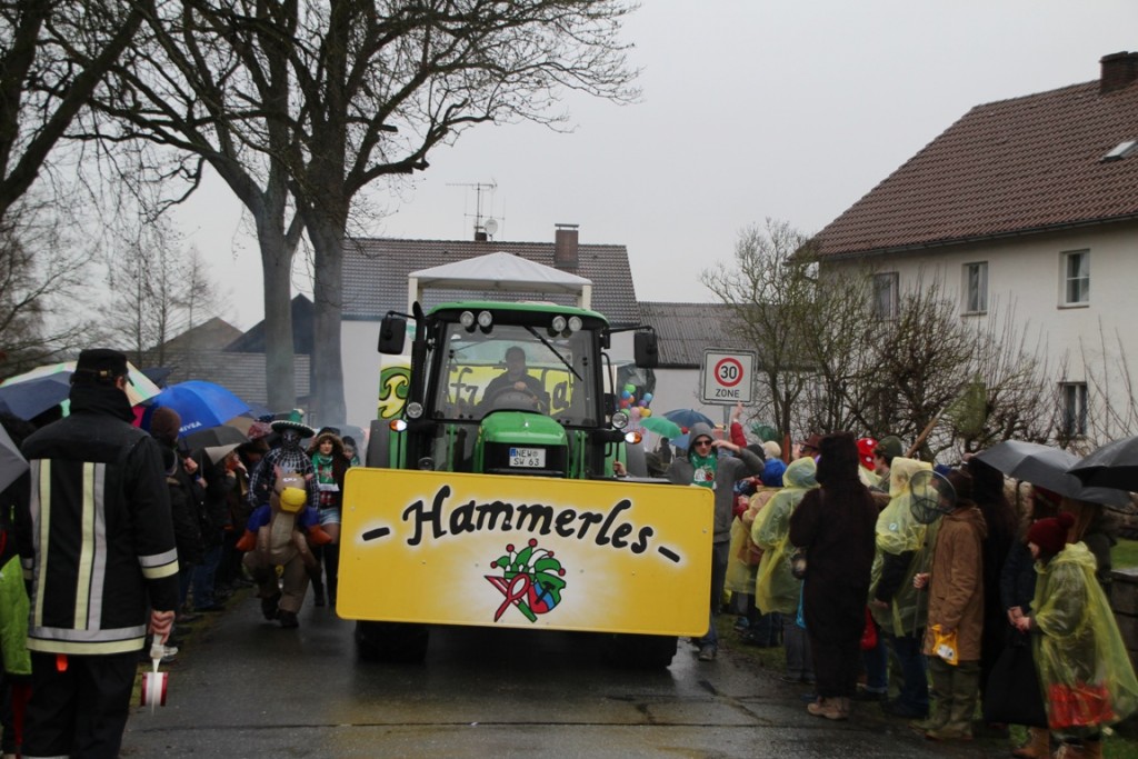 Der Hammerleser Faschingsverein beginnt sein Jubiläumsjahr mit einem Faschingszug im November. Bild: Oberpfalz-Aktuell / Jürgen Masching