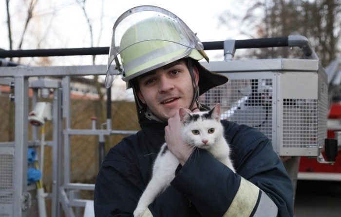Feuerwehr macht Katze glücklich