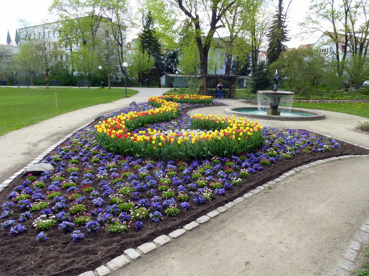 Vergissmeinnicht und Tulpen blühen im Max-Reger-Park. Bild: Tiefbauamt Weiden