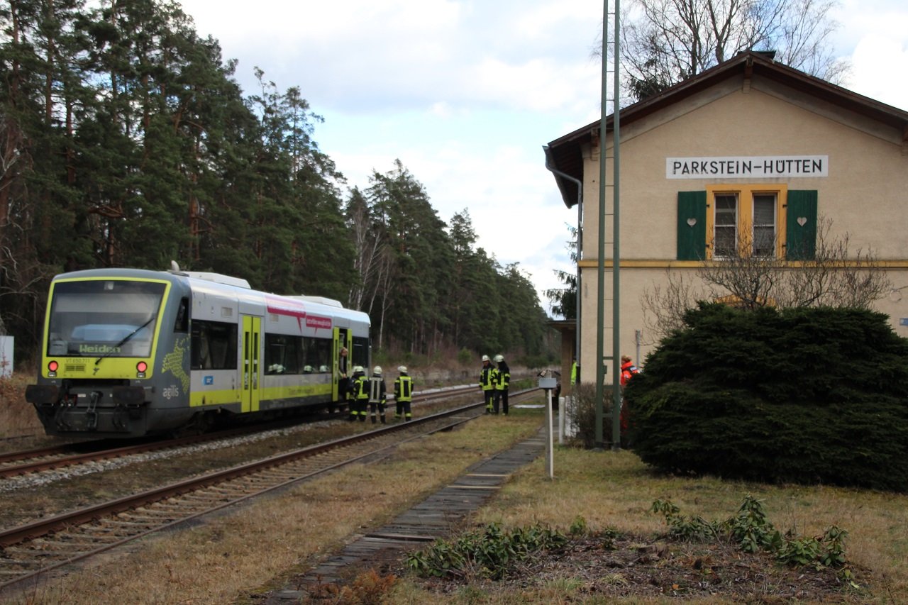 Parkstein-Hütten Bahnhof Baum auf Schienen Zug Unfall (3)