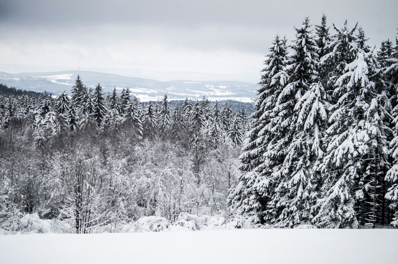 Schnee, Winter, Oberpfalz (13)