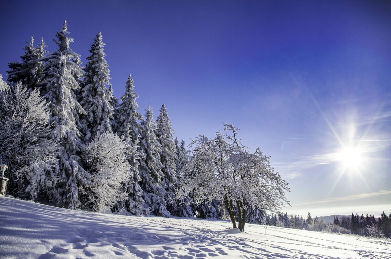 Schnee, Winter, Oberpfalz (7)