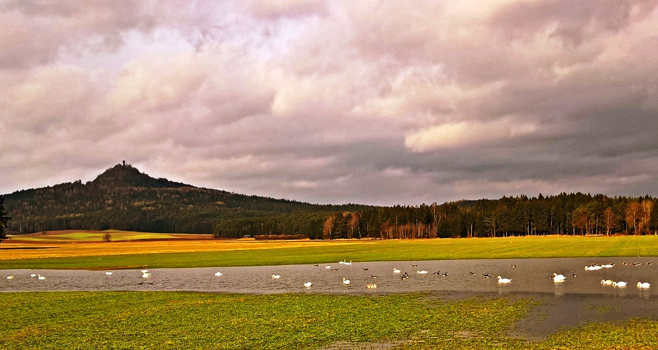 Schwanensee Frühling Rauher Kulm
