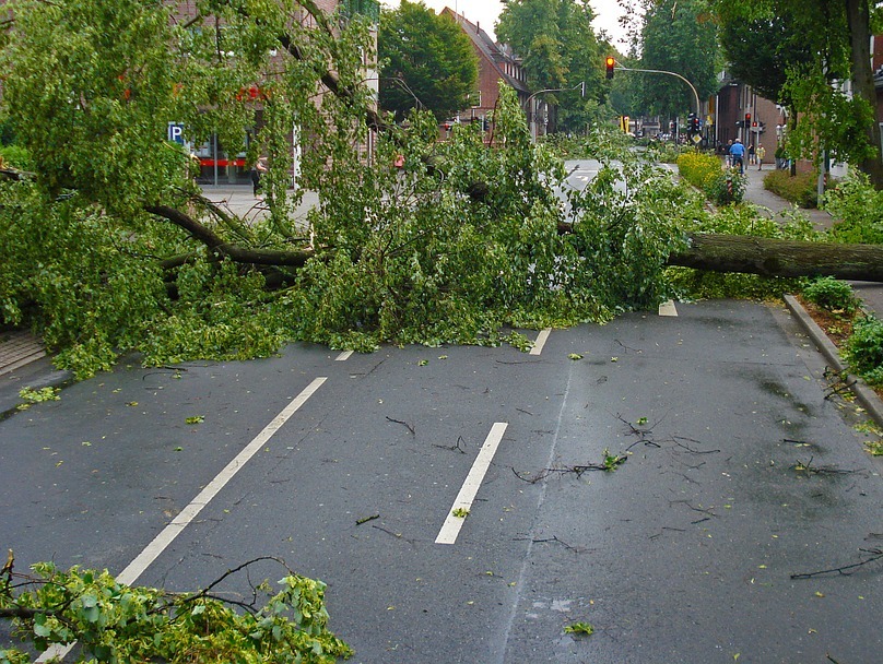 Sturm Gewittersturm Baum Strasse Entwurzelt pixabay