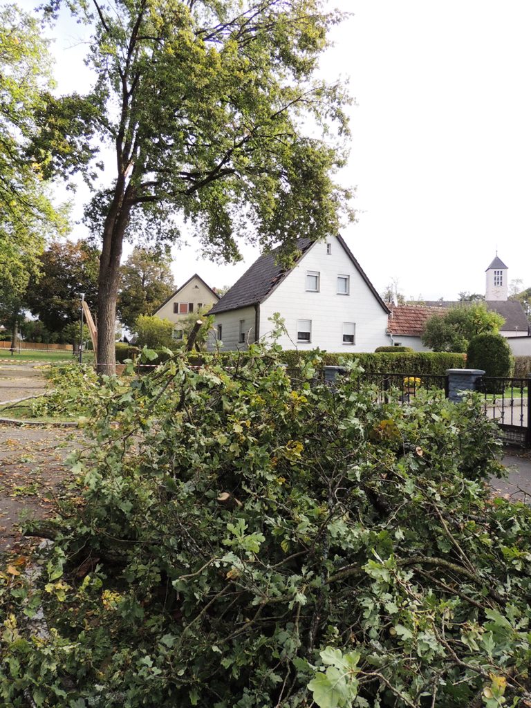Sturmschäden Stadt Grafenwöhr Truppenübungsplatz 7