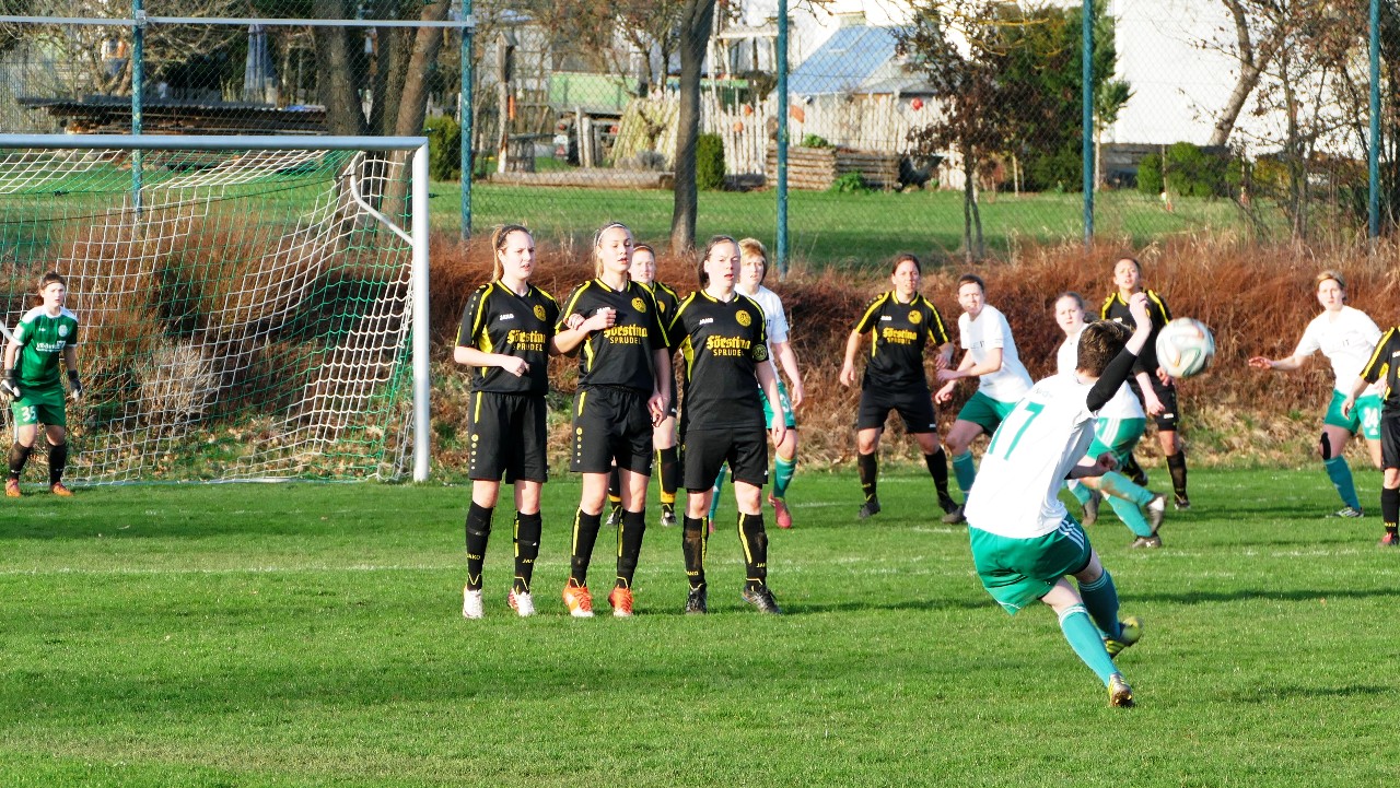 TSV Neudorf Fußball Frauen (1)