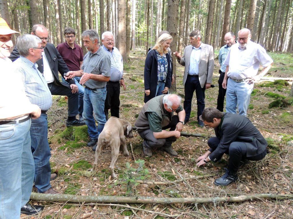 Tännesberger Wald Forstbetrieb Flossenbürg Nachhaltiger Umgang mit Wald, Wild und Natur5