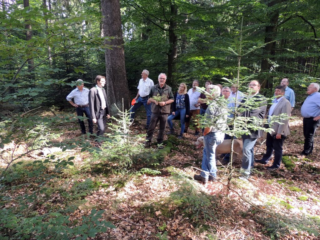 Tännesberger Wald Forstbetrieb Flossenbürg Nachhaltiger Umgang mit Wald, Wild und Natur6