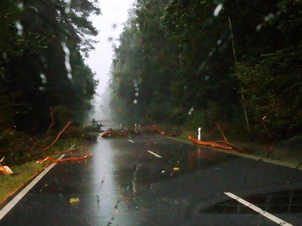 Unwetter Symbol Bäume umgestürzt Straßen gesperrt