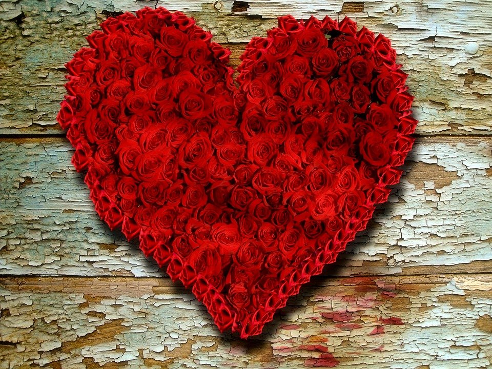 Valentinstag Holz Rosen Hintergrund Valentinstag Rot Blüte pixabay