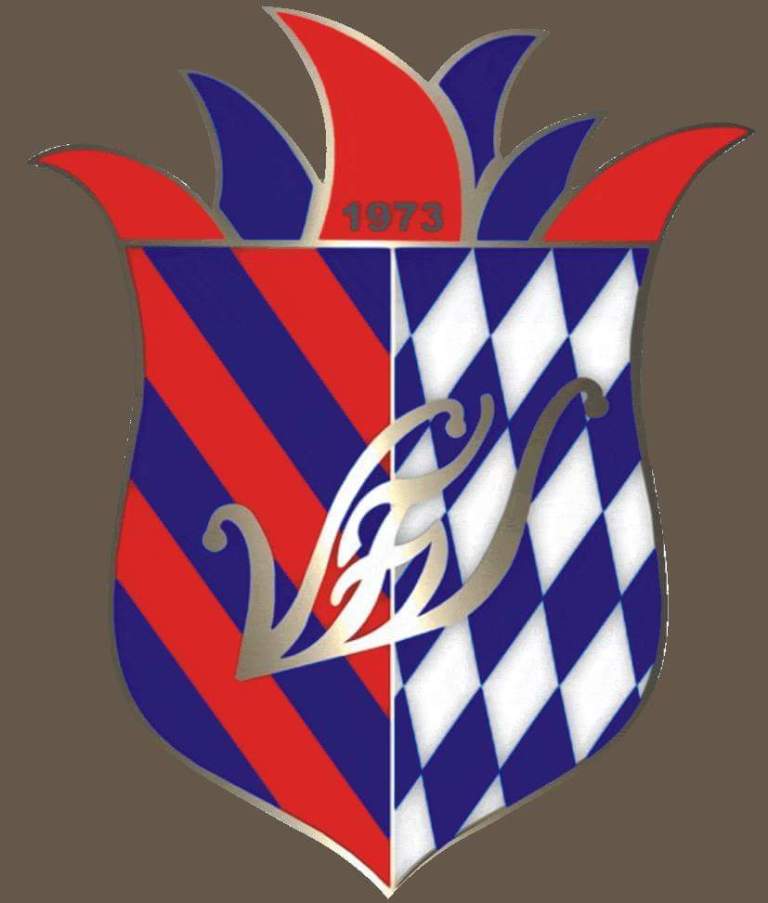 Vohenstraußer-Faschingsverein-VFV-Logo-Fasching