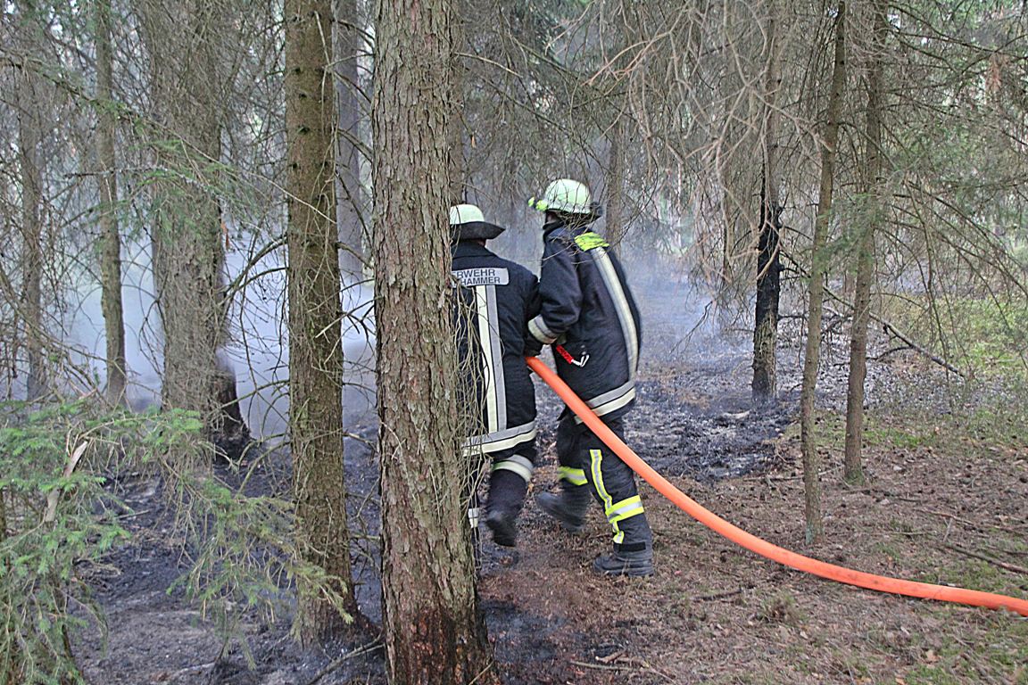Wald Waldbrand Steinfels Mantel Feuerwehr Glut Feuer Qualm Wiese Gras Asche Busch Baum 3