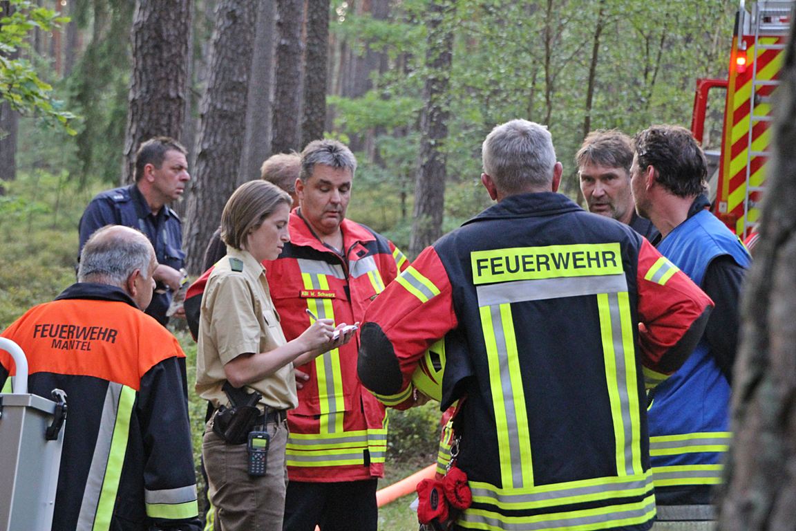 Wald Waldbrand Steinfels Mantel Feuerwehr Glut Feuer Qualm Wiese Gras Asche Busch Baum 9