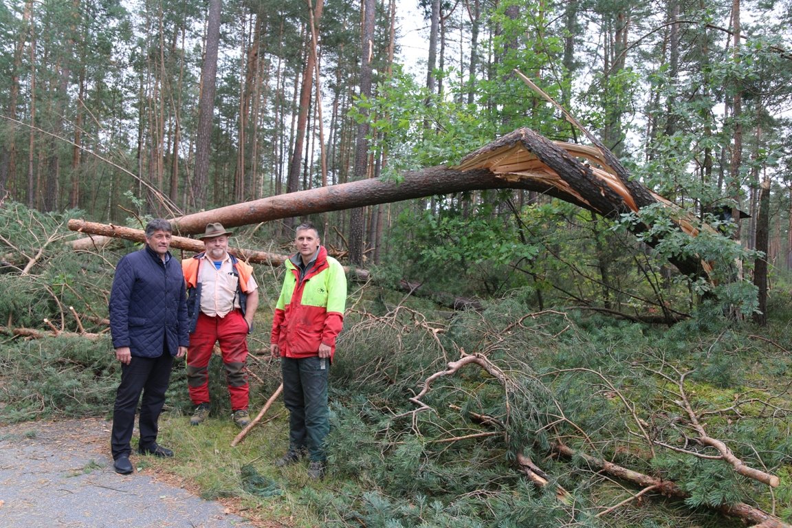 Waldgebiet Forstgemeinschaft Grafenwöhr Sturmschäden Waldwege Lebensgefahr