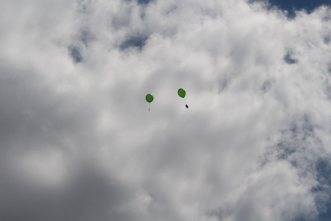 Luftballon fliegen Waldkinderfest Grafenwöhr  (62)