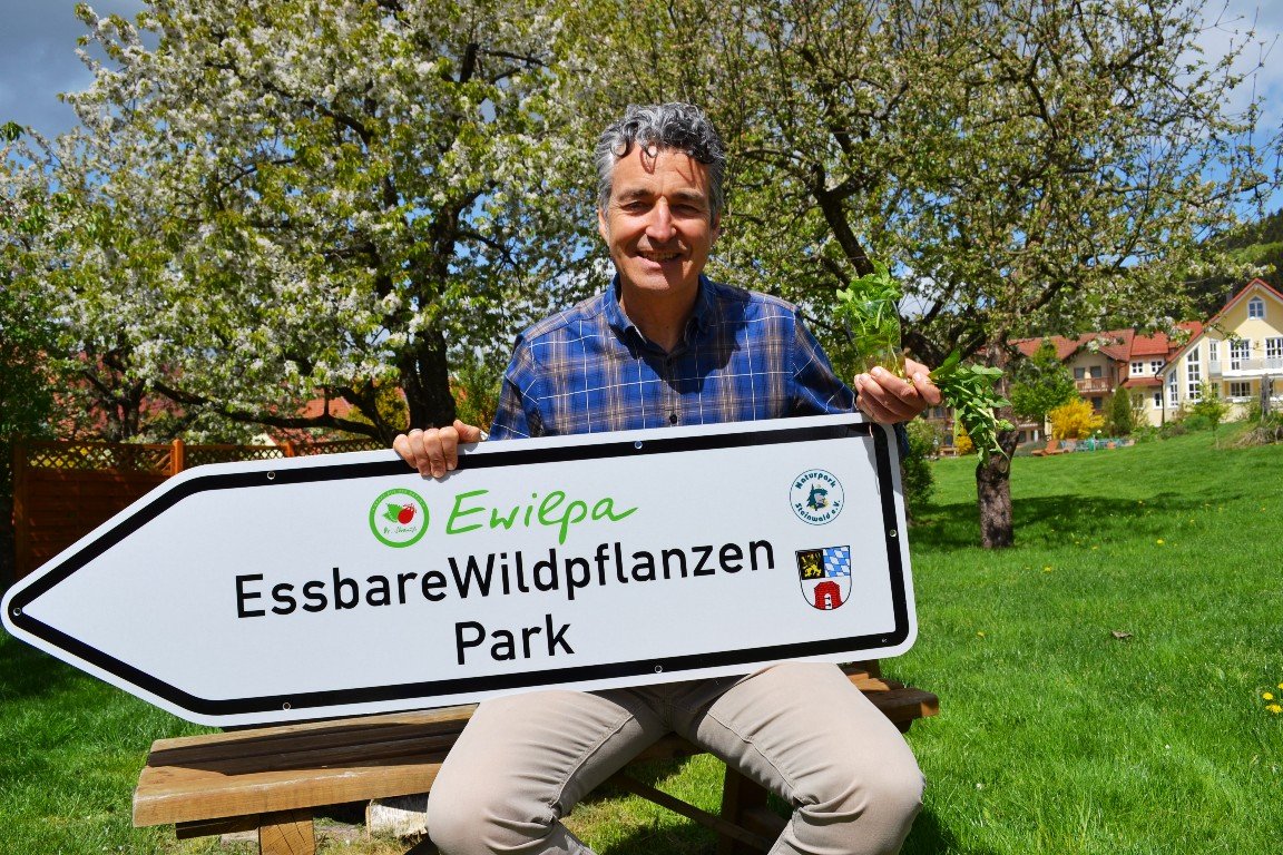 essbare Wildpflanzen Park Waldeck