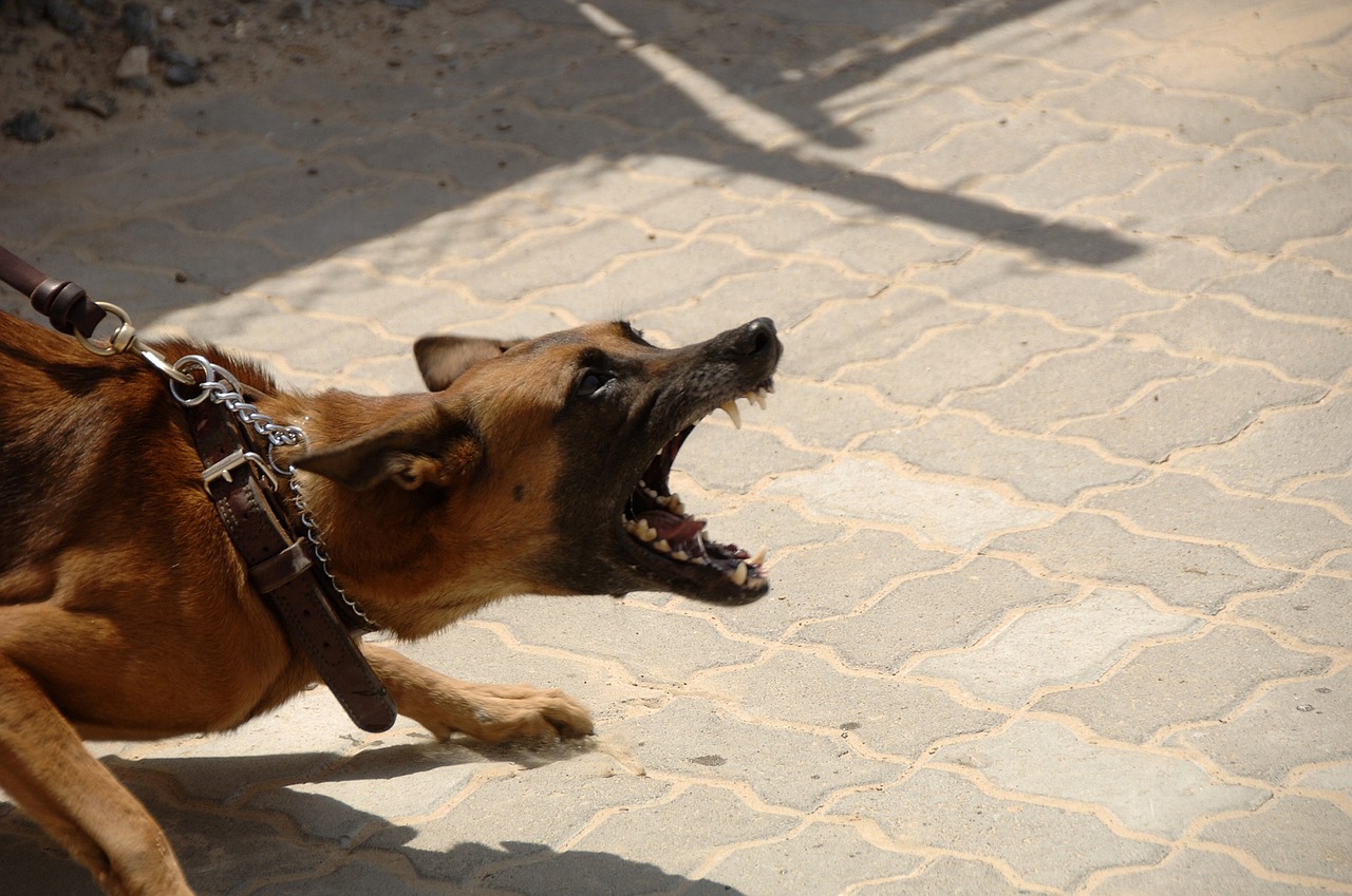 Hund bissig Polizei Symbol