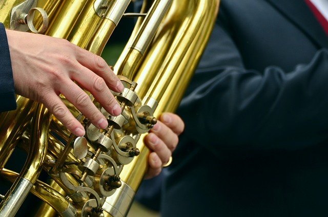 Blaskapelle Blasmusik Tuba Symbolbild Blechbläser Instrument Musik