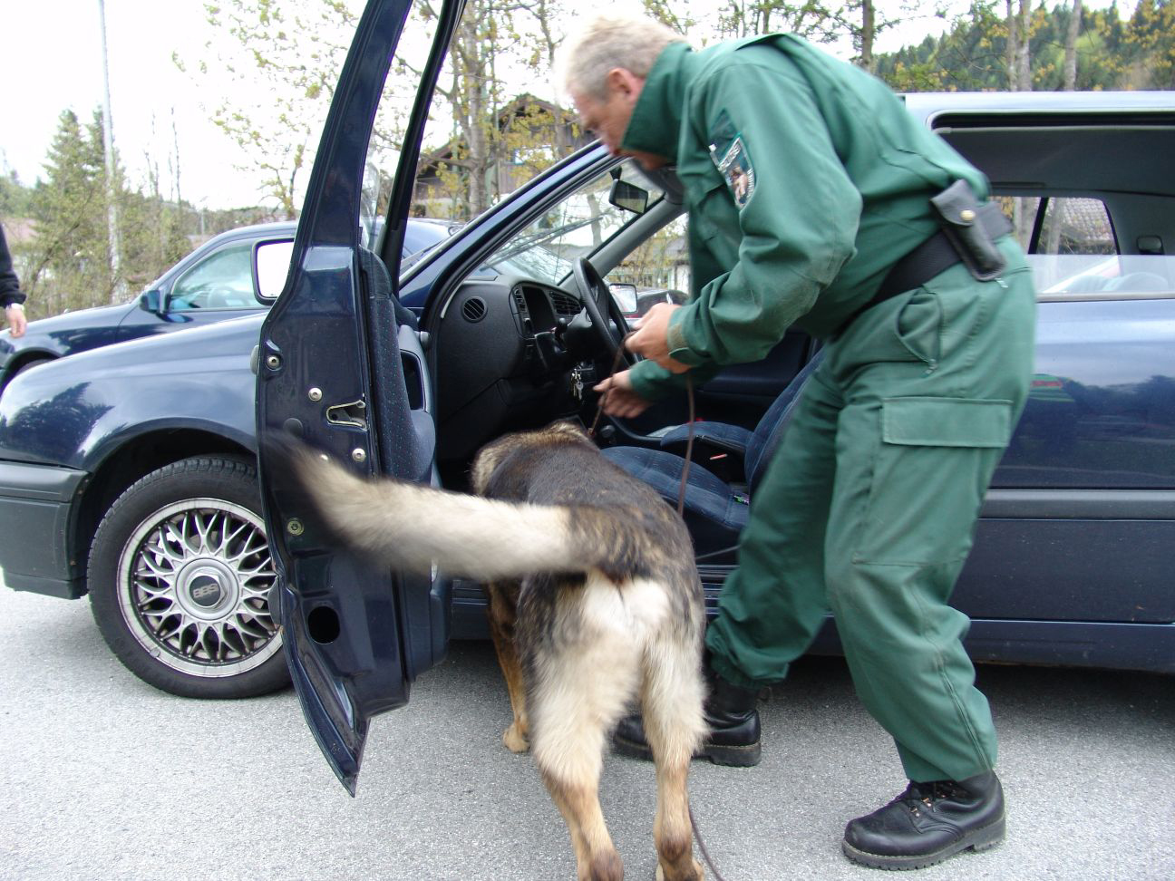 Polizei Kontrolle Polizeihund drogen