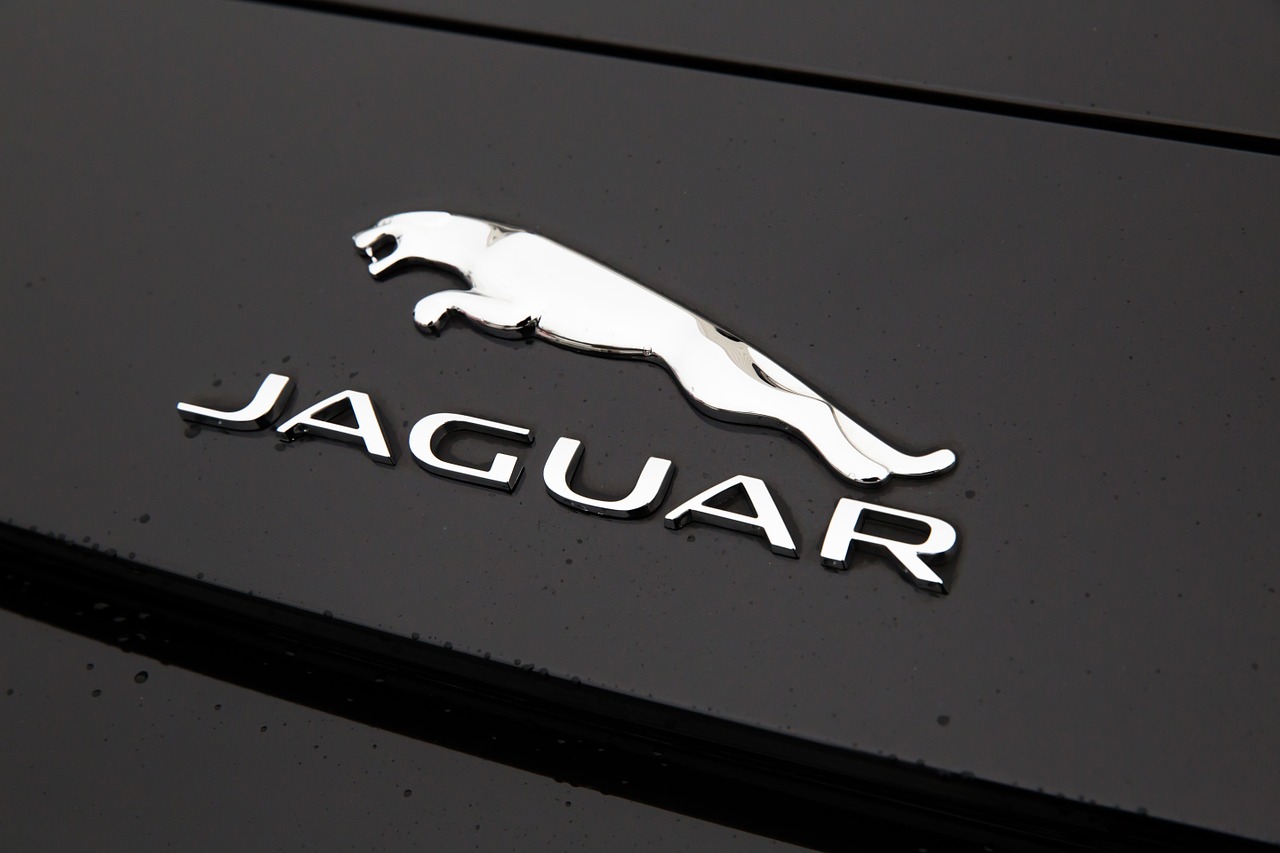 Jaguar Unfall Auto