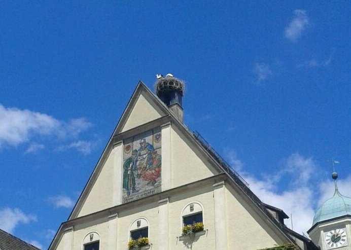 nicole_hölzl, Weiden, Altes Rathaus