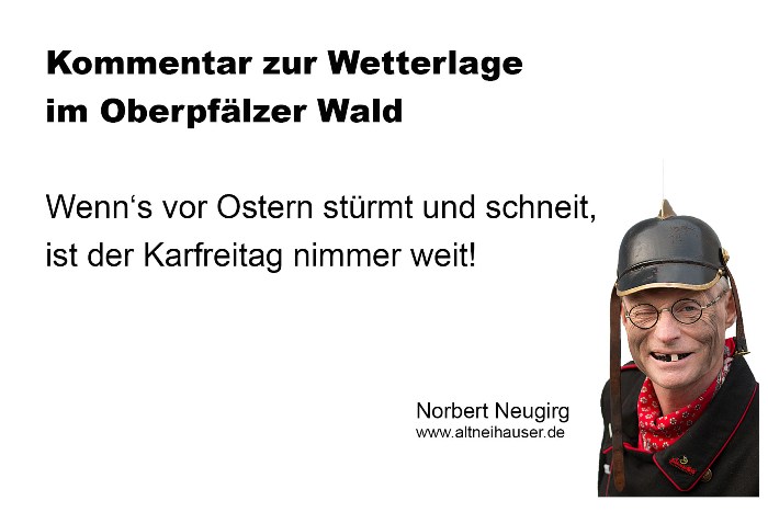 Norbert Neugirg