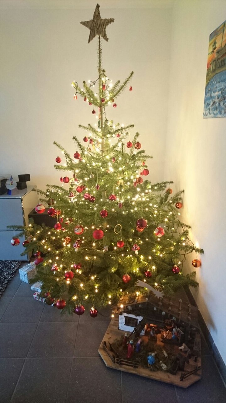 Leserfoto Weihnachtsbaum Christbaum