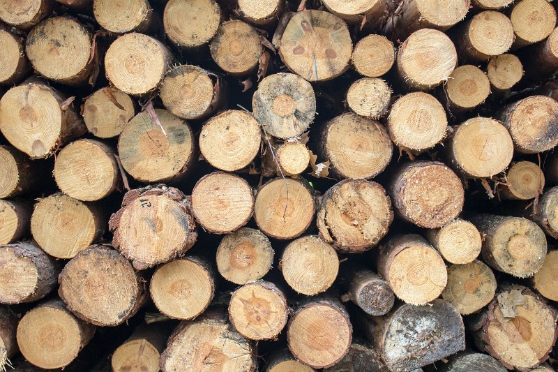 Brennholz gestohlen Holz Symbol