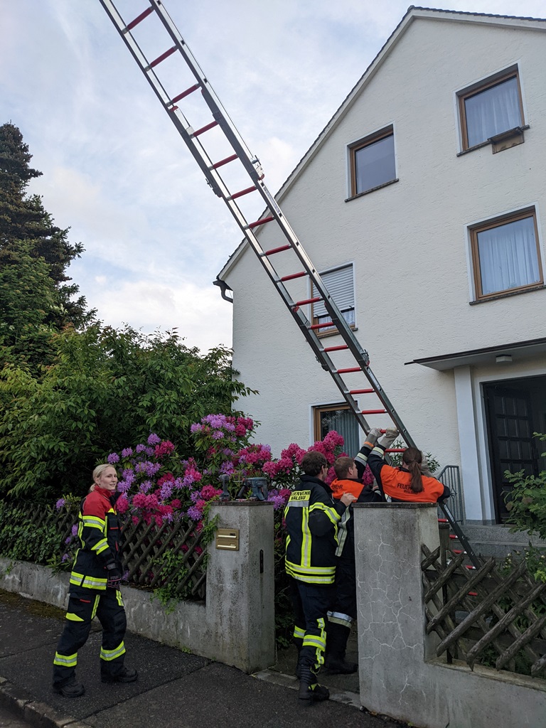 Dank Feuerwehr und Landesbund für Vogelschutz gibt es wieder einen Nistkasten für Mauersegler über dem volgelfreundlichen Garten der Familie Anderl in Waldau. Bild: Verena Bauer