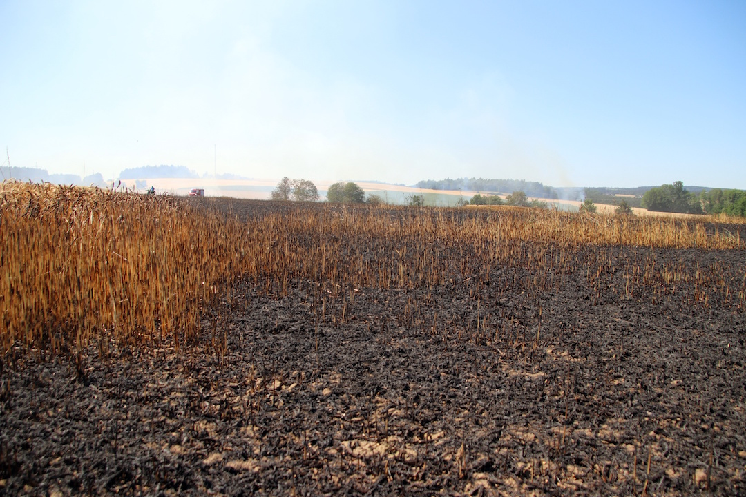 Vier Hektar Fläche wurden ein Raub der Flammen. Foto: Jürgen Masching