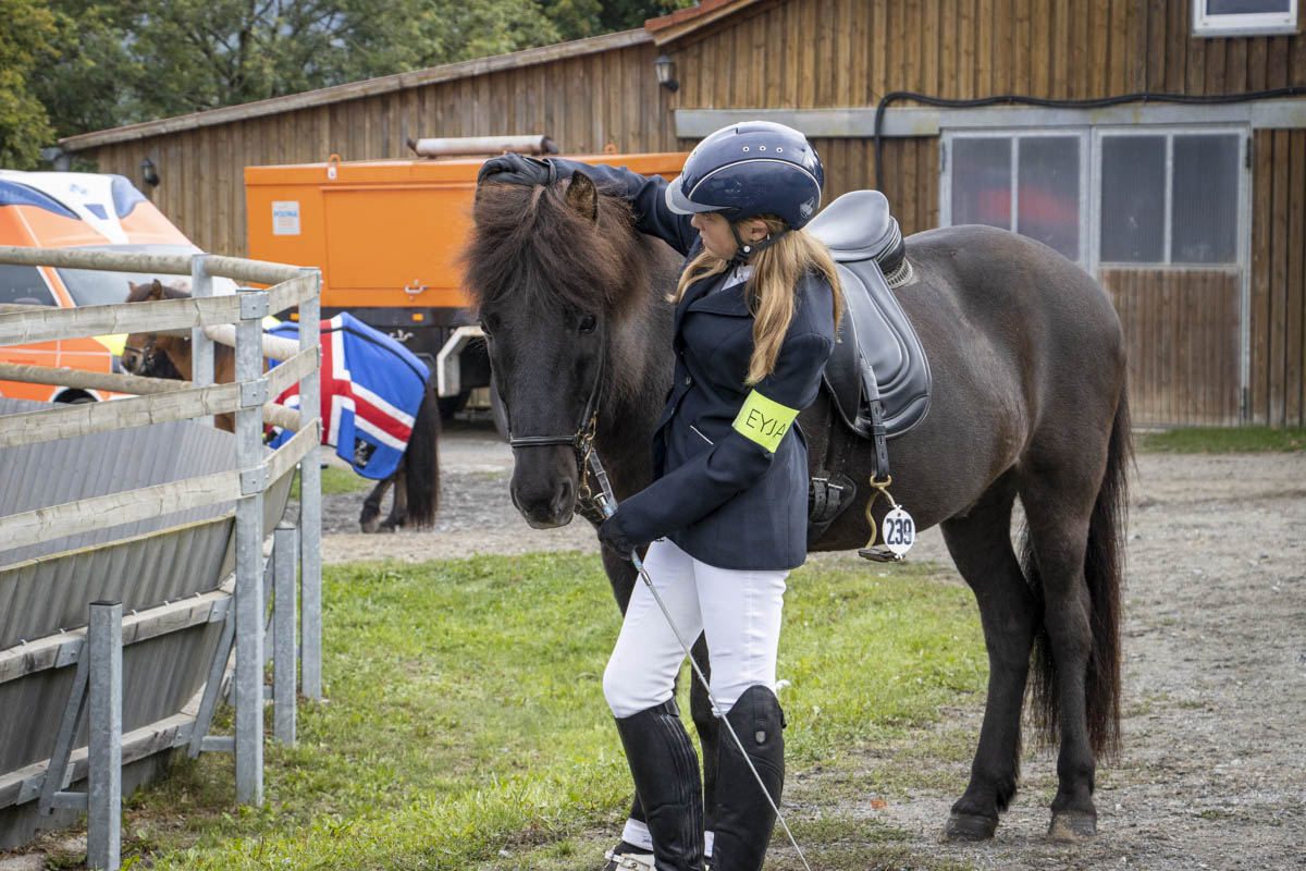 Die allermeisten Reiterinnen haben zu ihren Pferden eine ganz besondere Beziehung. Foto: Ann-Marie Zell