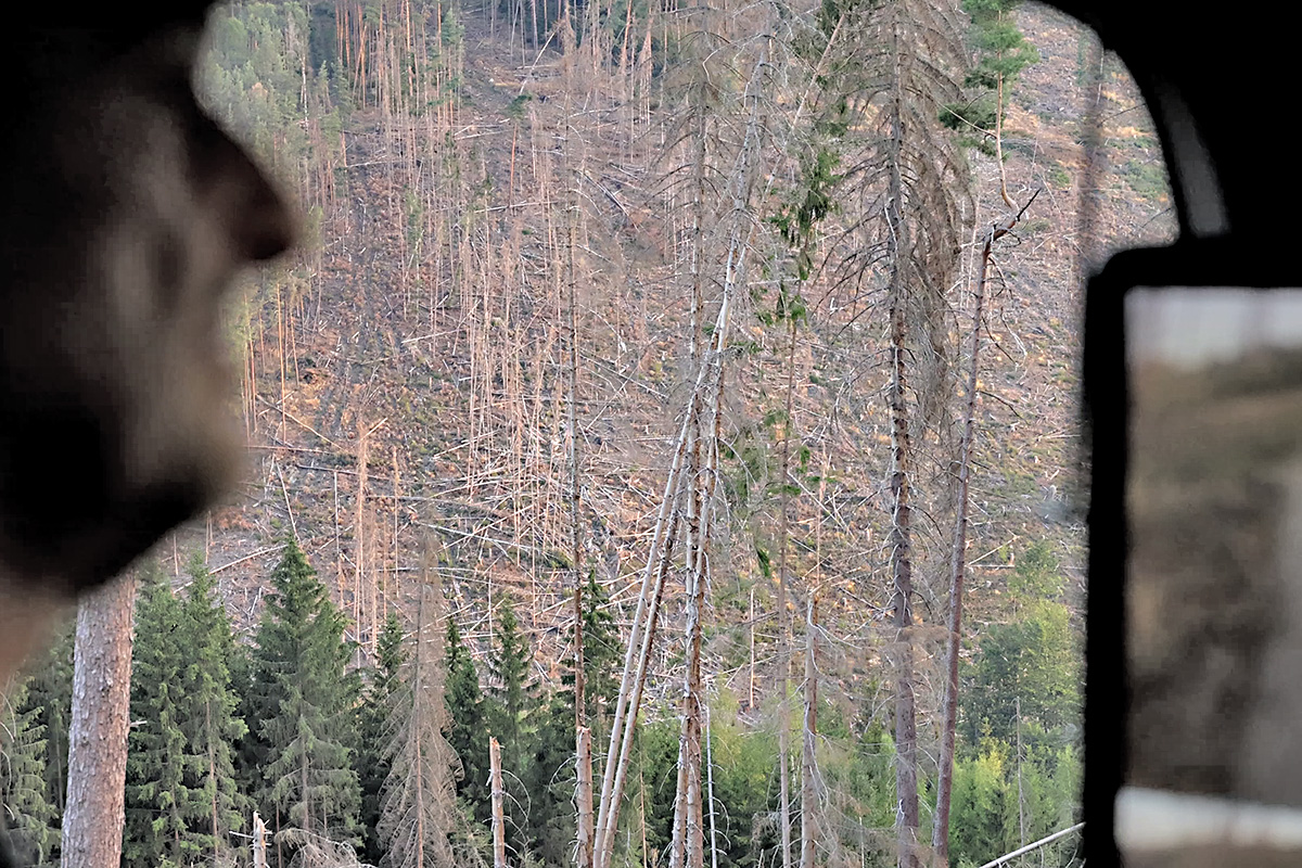 Der Blick aus dem LKW-Fenster zeigt das Ausmaß der Schäden. Wie abgebrochene Streichhölzer liegen die Bäume im Tal.