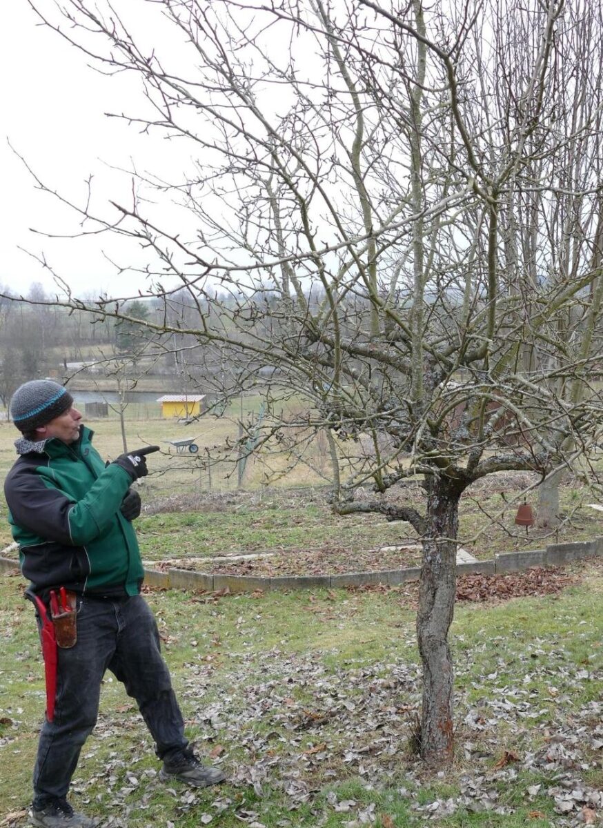 Kreisobstbauberater Joachim Löckelt aus dem Landkreis Tübingen beim Obstbaumschnittkurs am Rehazentrum in Waldthurn. Foto: Elisabeth Sittauer (Rehazentrum)